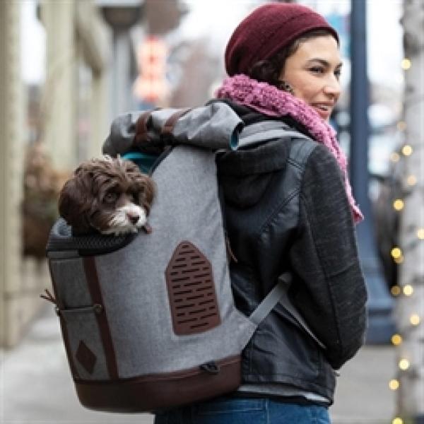Rucksack Weg = Weg Grau / Braun Kurgo